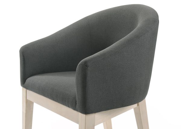 Neroli Set of 2 Gray Fabric 23"W Barrel Accent Chair - Image 5