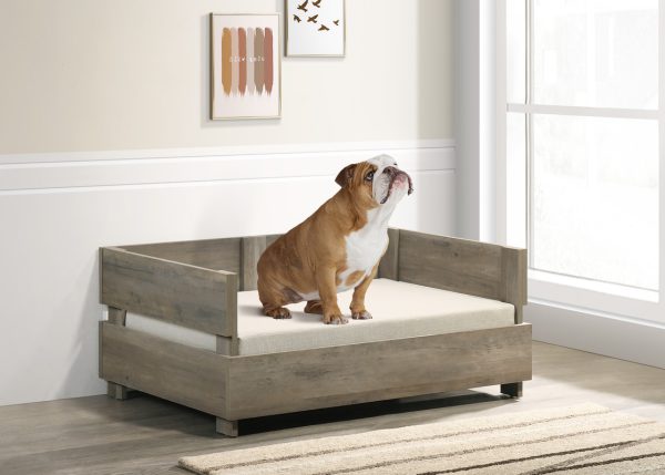 Daxton Rustic Grey 36"W Modern Comfy Pet Bed with Cushion