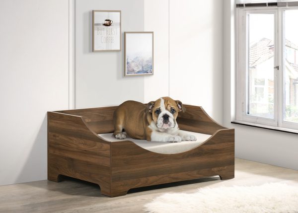 Gibson 36"W Brown Alder Wood Finish 36"W Modern Comfy Pet Bed with Cushion