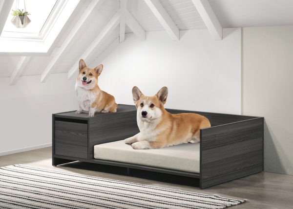 Esme Ash Gray 47"W Modern Comfy Pet Bed with Cushion and Side Storage Compartment