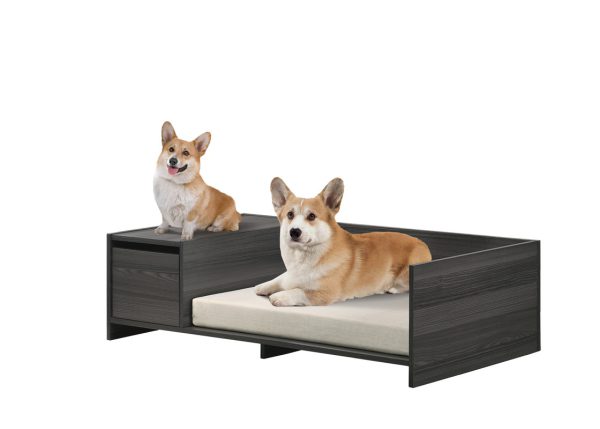 Esme Ash Gray 47"W Modern Comfy Pet Bed with Cushion and Side Storage Compartment - Image 2