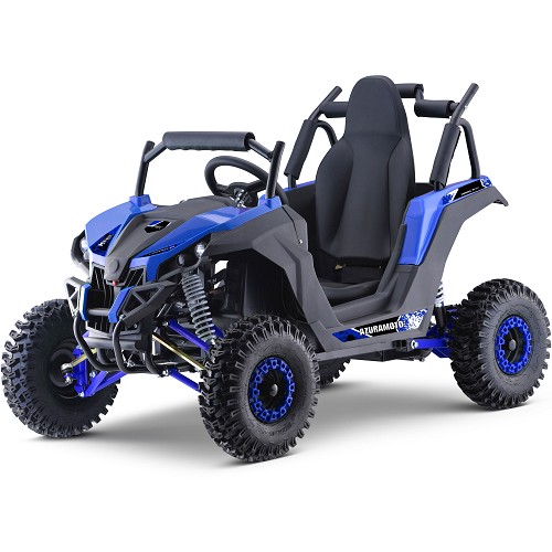 Electric UTVs